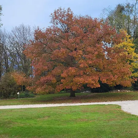 Elis' House * Moriago della Battaglia